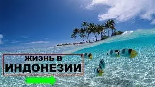 Разведопрос: Пётр Лидов про жизнь в Индонезии