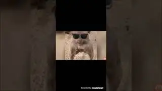 Попробуй не засмеяться ЧЕЛЛЕНДЖ!!!