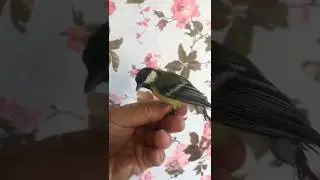 Будет новость ... ☺️ 