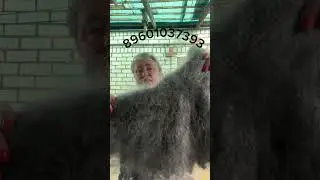 29 августа 2024 г.