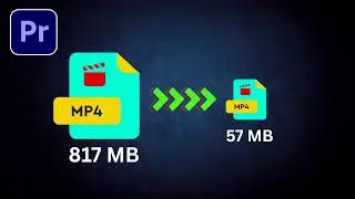 How to Reduce Video File Size Without Losing Quality in Premiere Pro - HINDI/URDU