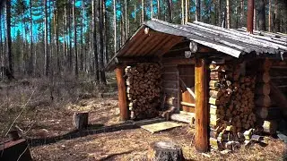 How to find capercaillie current without snow. Passed a distant hut. Elk with a calf.