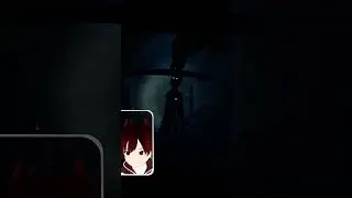 Meeting The Reflection