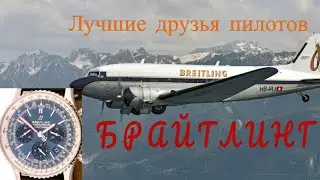 Лучшие друзья пилотов!
