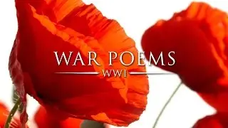 Does It Matter by Siegfried Sassoon | World War Poems