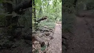женщины и вино = равно