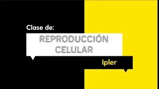 ¿Qué es la Reproducción celular? Explicación rápida | Biología