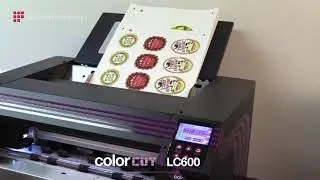 Автоматическая режущая система INTEC ColorCut LC600