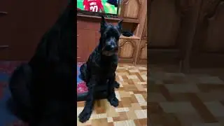 Умница девочка.