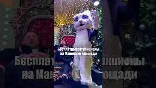 Бесплатные аттракционы на Манежной площади🎡🎠🎢 