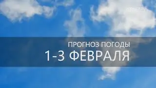 Прогноз погоды на 1 3 февраля