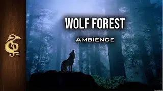 Wolf Forest | ASMR Ambience | 1 Hour 