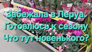 🌸Сезонные покупки в Леруа🌸