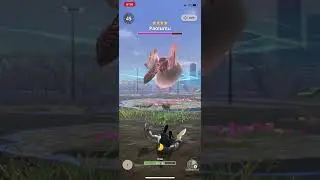 When Lab Rat Mix With Bat and Squirrel = Paolumu