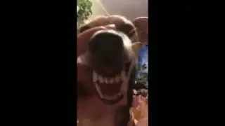 De Sange - La La La Dog (Trap Song)