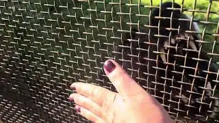 Targhel Karanuker detto Leo, 7 anni da Vest Karanuker per Djandi.