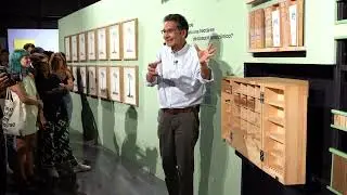 Amazon Forest Museum: Tour with Carlos Rodríguez | Thickets Exhibition | Explora Park