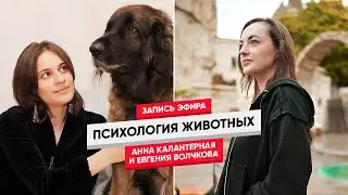 Психология животных
