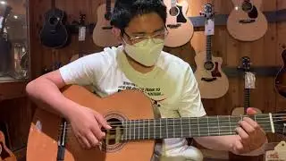 The Beatles: Blackbird (Guitar Cover)
