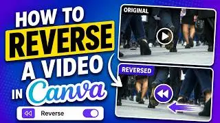 The Video Reverser Canva Feature that's easy to miss!