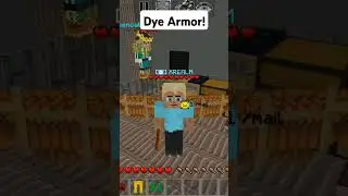 🎨 You Can Dye Armor! | @XREALM 🐼