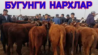 БОКМА НОВВОСЧАЛАРНИ ЗУРЛАРИ ЧИКДИ КАРШИ КАРВОН МОЛ БОЗОРИДА 26.11.2023