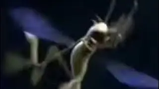 All Raid Bugs Screaming (Update 6) (REUPLOAD) 