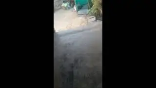 जिंदगी की पहली live stream