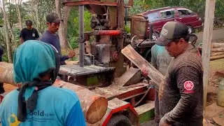 FULL PROSES BENSO KAYU SENGON‼️‼️