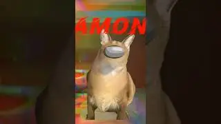два мини ролика про Шлёпу