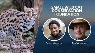 Saving Small Wild Cats | Wildlife Conservation Expo