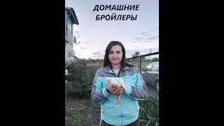 НОВЫЕ ЖИТЕЛИ НА НАШЕЙ ФЕРМЕ!