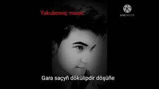 Habib - Gara saçyn 