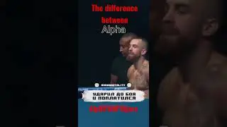Difference between alpha and sigma males #shorts #boxing #sigma