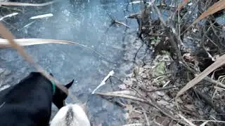Сегодня фигурное катание.Есть желающие?