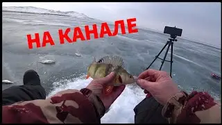 Рыбалка. 16 насосная (112км).