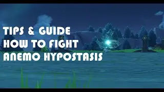 Genshin Impact Beginner Guide - How To Fight Anemo Hypostasis World Boss
