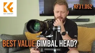 K&F Concept Professional Gimbal Head Review - BEST VALUE Gimbal Head for Wildlife Photography?