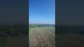 BabyApe 3 || Runcam ThumbPro 4k v1 lens mod || gyroflow || Vertical