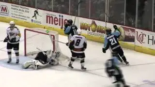 Alaska Aces 2014 Kelly Cup champions highlight video