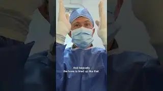 Cat's Major Broken Leg Gets Surgically Realigned 😱| Bondi Vet 