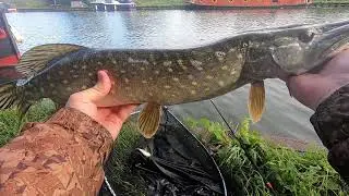 Autumn Pike Fishing Gloucester Canal