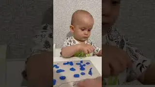 Развитие речи и мелкой моторики. Лепка для самых маленьких