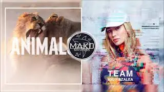Maroon 5 / Iggy Azalea - Team Animals (Mako Mashup)