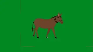 Lazy Donkey on Green Screen Effect  | Donkey  Green Screen Video | Lazy Donkey Blue Screen | Donkey