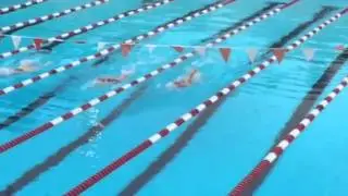Rae-Lynn Sheffield back stroke win Florida southern college alumni meet