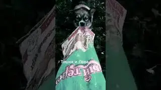 Заказ 💓