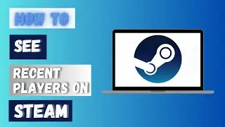 How to See Recent Players on Steam 2024?