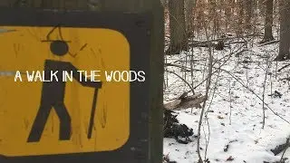 A walk in the woods