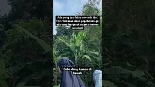 Fakta idul fitri | mohon maaf lahir dan batin🙏🏻 #idulfitri #fakta #cinematic